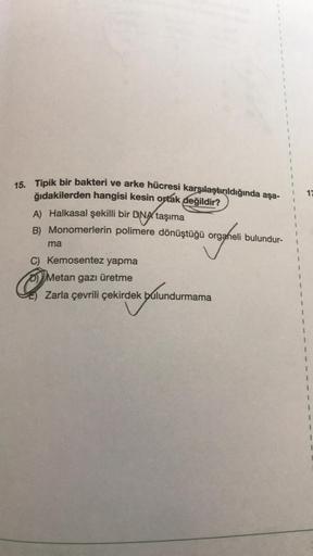 15. Tipik bir bakteri ve arke hücresi karşılaştırıldığında aşa-
ğıdakilerden hangisi kesin ortak değildir?
A) Halkasal şekilli bir DNA taşıma
B) Monomerlerin polimere dönüştüğü organeli bulundur-
crophes
ma
C) Kemosentez yapma
Metan gazı üretme
Zarla çevri