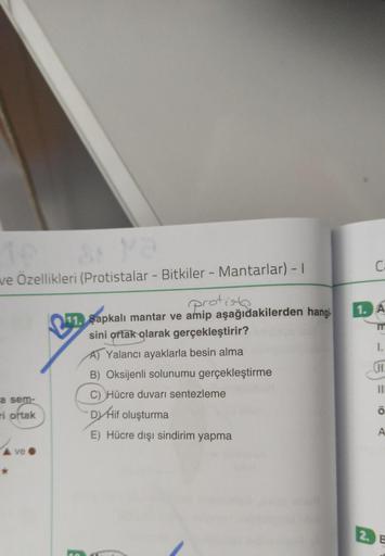 ve Özellikleri (Protistalar - Bitkiler - Mantarlar) - I
protiste
11. Şapkalı mantar ve amip aşağıdakilerden hangi.
sini ortak olarak gerçekleştirir?
A) Yalancı ayaklarla besin alma
B) Oksijenli solunumu gerçekleştirme
a sem-
ri ortak
ve
C) Hücre duvarı sen