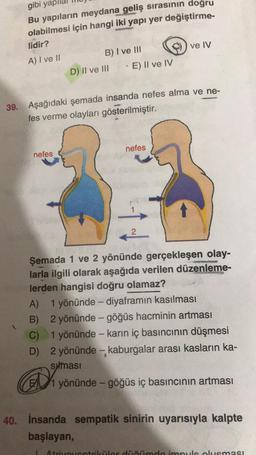 gibi yap
Bu yapıların meydana geliş sırasının doğru
olabilmesi için hangi iki yapı yer değiştirme-
lidir?
A) I ve II
B) I ve III
nefes
D) II ve III
· E) Il ve IV
39. Aşağıdaki şemada insanda nefes alma ve ne-
fes verme olayları gösterilmiştir.
nefes
ve IV
1
Şemada 1 ve 2 yönünde gerçekleşen olay-
larla ilgili olarak aşağıda verilen düzenleme-
lerden hangisi doğru olamaz?
A) 1 yönünde - diyaframın kasılması
B) 2 yönünde - göğüs hacminin artması
C) 1 yönünde - karın iç basıncının düşmesi
D) 2 yönünde - kaburgalar arası kasların ka-
sumasi
1 yönünde - göğüs iç basıncının artması
40. İnsanda sempatik sinirin uyarısıyla kalpte
başlayan,
Atrivoventriküler düğümdo impuls olusmas!