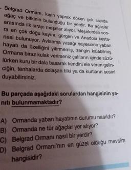 Belgrad Ormanı, kışın yaprak döken çok sayıda
ağaç ve bitkinin bulunduğu bir yerdir. Bu ağaçlar
arasında ilk sırayı meşeler alıyor. Meşelerden son-
ra en çok doğu kayını, gürgen ve Anadolu kesta-
nesi bulunuyor. Avlanma yasağı sayesinde yaban
hayatı da özelliğini yitirmemiş, zengin kalabilmiş.
Ormana biraz kulak verirseniz çalıların içinde süzü-
lürken kuru bir dala basarak kendini ele veren gelin-
ciğin, tenhalarda dolaşan tilki ya da kurtların sesini
duyabilirsiniz.
Bu parçada aşağıdaki sorulardan hangisinin ya-
niti bulunmamaktadır?
A) Ormanda yaban hayatının durumu nasıldır?
B) Ormanda ne tür ağaçlar yer alıyor?
C) Belgrad Ormanı nasıl bir yerdir?
D) Belgrad Ormanı'nın en güzel olduğu mevsim
hangisidir?