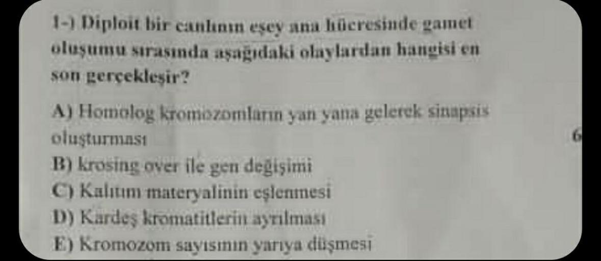 1-) Diploit bir canlının eşey ana hücresinde gamet
oluşumu sırasında aşağıdaki olaylardan hangisi en
son gerçekleşir?
A) Homolog kromozomların yan yana gelerek sinapsis
oluşturmast
B) krosing over ile gen değişimi
C) Kalıtım materyalinin eşlenmesi
D) Karde