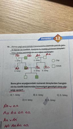 Olmaz
1
12
19. Kırmızı-yeşil renk körlüğü X kromozomu üzerinde çekinik.gen-
le taşınan bir özelliktir. Aşağıda bu özelliği gösteren bireylerin
koyu renkle belirtildiği bir soy ağacı verilmiştir
Aa
aa
Aa
O
Aa
1. birey
2. birey
3. birey
aa
D) 4. birey
Deneme
Aaxaa
Aa Aa aa aa
Aa x Aa
AA Aa Aa aa
Aa Aa
4. birey 5. birey
O
Buna göre soyağacındaki numaralı bireylerden hangisi-
nin bu özellik bakımından homozigot genotipli olma ola-
sılığı vardır?
A) 1. birey
B) 2. birey
): Dişi
: Erkek
E) 5. birey
C) 3. birey