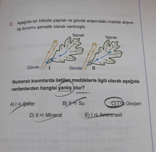 2. Aşağıda bir bitkide yaprak ve gövde arasındaki madde alışve-
riş durumu şematik olarak verilmiştir.
Yaprak
Gövde
A) 1 Şeker
Numaralı kısımlarda iletilen maddelerle ilgili olarak aşağıda
verilenlerden hangisi yanlış olur?
D) II
Mineral
Gövde
B)
Yaprak
Su