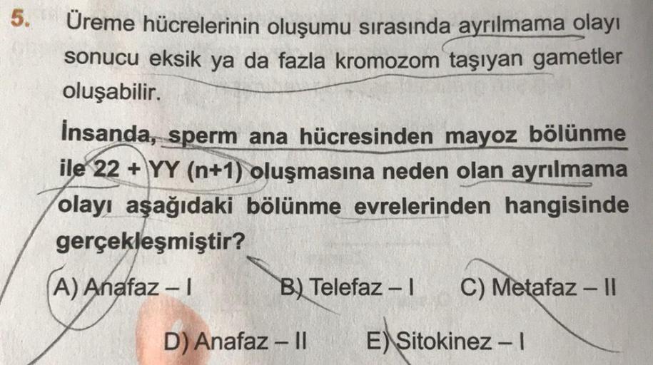 5.
Üreme hücrelerinin oluşumu sırasında ayrılmama olayı
sonucu eksik ya da fazla kromozom taşıyan gametler
oluşabilir.
İnsanda, sperm ana hücresinden mayoz bölünme
ile 22 +YY (n+1) oluşmasına neden olan ayrılmama
olayı aşağıdaki bölünme evrelerinden hangis