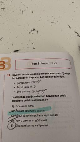 B
(
Fen Bilimleri Testi
19. Biyoloji dersinde canlı âlemlerin konusunu öğrenen
bir öğrencinin hayvanat bahçesinde gördüğü;
A
• Şempanze memeli
• Tavus kuşu-KUŞ
• Boa yılanı Sorgen
canlılarında aşağıdakilerden hangisinin ortak
olduğunu belirtmesi beklenir?
A) Sıcakkanlı olma
B) Akciğer solunumu yapma
CVücut yüzeyinin pullarla kaplı olması
D) Yavru bakımının görülmesi
E) Diyafram kasına sahip olma