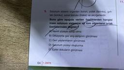 64
Solunum sistemi organları burun, yutak (farinks), girt-
lak (larinks), soluk borusu (trake) ve akciğerlerdir.
Buna göre aşağıda verilen özelliklerden hangisi
insan solunum sistemine ait tüm organların ortak
özelliklerinden değildir?
A Nemli yüzeye sahip olma
B) Difüzyonla gaz alış-verişinin görülmesi
C) Geri yaylanmanın görülmesi
D) Solunum yüzeyi oluşturma
E Epitel dokuların görülmesi
ÜNİTE
11.