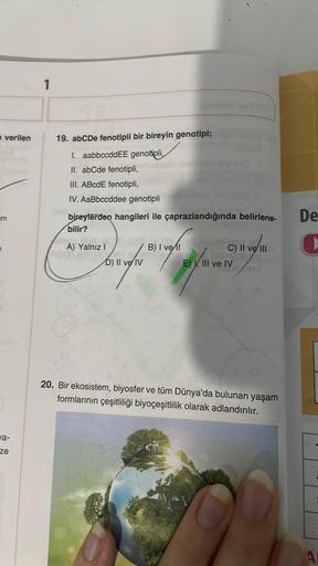 a verilen
m
va-
ze
1
19. abCDe fenotipli bir bireyin genotipi;
1. aabbccddEE genotipli,
II. abCde fenotipli,
III. ABcdE fenotipli,
IV. AaBbccddee genotipli
bireylerden hangileri ile çaprazlandığında belirlene-
bilir?
Ging
A) Yalnız I
D) II ve IV
B) I vel
T