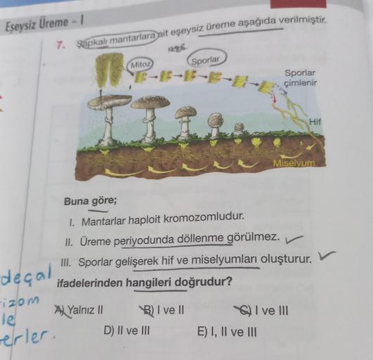 Eşeysiz Üreme - I
deçal
izom
le
verler.
7. Şapkalı mantarlara ait eşeysiz üreme aşağıda verilmiştir.
FF
Mitoz
Yalnız II
D) II ve III
Sporlar
I ve II
Buna göre;
I. Mantarlar haploit kromozomludur.
II. Üreme periyodunda döllenme görülmez.
✓
III. Sporlar geli