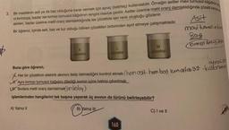 3. Bir maddenin asit ya da baz olduğuna karar vermek için ayraç (belirteç) kullanılabilir. Örneğin asitler mavi turnusol kâğıdının re
ni kırmızıya, bazlar ise kırmızı turnusol kâğıdının rengini maviye çevirir. Asitler üzerine metil oranj damlatıldığında çözelti kırmızı
alırken, bazlar üzerine metil oranj damlatıldığında ise çözeltide sarı renk oluştuğu gözlenir.
Bir öğrenci, içinde asit, baz ve tuz olduğu bilinen çözeltileri birbirinden ayırt etmeye çalışmaktadır.
K
çözeltisi
çözeltisi
B) Yalnız III
M
çözeltisi
Buna göre öğrenci,
ayıraçob
fut
Her bir çözeltinin elektrik akımını iletip iletmediğini kontrol etmek (hem anit-hem bot icm ortak 52 -kullononon
H.Aynı kırmızı turnusol kağıdını dilediği sıvının içine batırıp çıkartmak
L. Sivilara metil oranj damlatmakon boloy)
işlemlerinden hangilerini tek başına yaparak üç sıvının da türünü belirleyebilir?
A) Yalnız II
160
Asit
mavi tunmol + ki
Baz
Kirmian twe) mox
C) I ve II