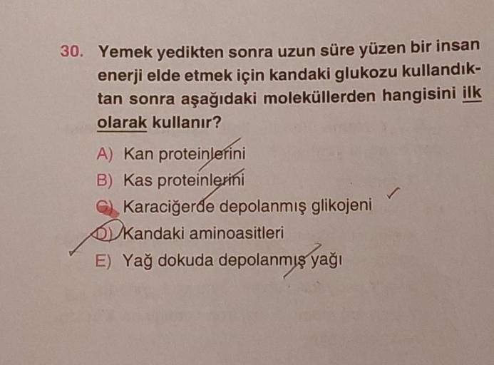 30. Yemek yedikten sonra uzun süre yüzen bir insan
enerji elde etmek için kandaki glukozu kullandık-
tan sonra aşağıdaki moleküllerden hangisini ilk
olarak kullanır?
A) Kan proteinlerini
B) Kas proteinlerini
G) Karaciğerde depolanmış glikojeni
Kandaki amin