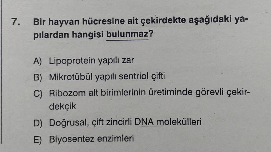 7.
Bir hayvan hücresine ait çekirdekte aşağıdaki ya-
pılardan hangisi bulunmaz?
A) Lipoprotein yapılı zar
B) Mikrotübül yapılı sentriol çifti
C) Ribozom alt birimlerinin üretiminde görevli çekir-
dekçik
D) Doğrusal, çift zincirli DNA molekülleri
E) Biyosen