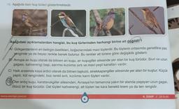 15. Aşağıda bazı kuş türleri gösterilmektedir.
Aşağıdaki açıklamalardan hangisi, bu kuş türlerinden herhangi birine ait değildir?
A) Gökgerdanların en belirgin özellikleri, boğazlarındaki mavi tüylerdir. Bu tüylerin ortasında genellikle pas
renginde ya da beyaz renkte benek bulunur. Bu renkler alt türlere göre değişiklik gösterir.
B Avrupa arı kuşu olarak da bilinen arı kuşu, arı kuşugiller ailesinde yer alan bir kuş türüdür. Sivri ve uzun
gagasi, kahverengi başı, sarımsı-kızılımsı sırtı ve mavi-yeşil kanatları vardır.
C) Halk arasında kaya ardıcı olarak da bilinen taşkızılı, sinekkapangiller ailesinde yer alan bir kuştur. Küçük
yapılı, kül rengindeki, boz renkli sırtı, kızılımsı karın tüyleri vardır.
D) Öter ardıç kuşu, karatavukgiller ailesinden, Avrasya'nın tamamına yakın bir alanda yaşayan uzun gagalı,
ötücü bir kuş türüdür. Üst tüyleri kahverengi, alt tüyleri ise kara benekli krem ya da ten rengidir.
www.seviye.com.tr
6
8. SINIF / 23-8-05