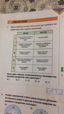 ÖSYM İKİZİ
5. Mayoz bölünme ve mitoz bölünme ile ilgili özelliklerin kar-
şılaştırıldığı tablo aşağıda gösterilmiştir.
11
IV
MITOZ
Çok hücrelilerde büyüme,
gelişme ve onarımı
sağlar.
Çekirdek ve sitoplazma
bölünmesi bir kez
gerçekleşir.
Eşeysiz üremenin
temel olayıdır.
Ökaryot tek hücrelilerde ve
çok hücreli canlılarda
görülür.
83
Parça değişimi
görülmez.
MAYOZ
Üremeyi sağlar.
Çekirdek ve sitoplazma
bölünmesi iki kez
gerçekleşir.
Eşeyli üremenin
temel olayıdır.
Sadece çok hücreli
canlılarda görülür.
Parça değişimi
görülebilir.
Buna göre tabloda numaralandırılmış karşılaştırma-
larından hangisinde hata yapılmıştır?
A) I
B) II C) III D) IV
E) V
7.
8.
CAP
6. Profazl aşamasında 4 tetrat yapısı oluşumu gözlenen
bir hücrenin anafaz II aşaması sonunda aşağıdaki se-
çeneklerin hangisinde verilmiştir?
A)
B)