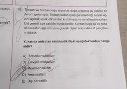 e birbiri-
şmez?
18. Timsah ve Kürdan kuşu arasında doğal ortamda şu şekilde bir
durum gelişmiştir. Timsah sudan çıkıp güneşlendiği sırada ağ-
zını açarak sıcak etkisinden kurtulmaya ve rahatlamaya çalışır.
Üst çenesi açık şekilde kıyıda bekler. Kürdan kuşu da bu esna-
da timsahın ağzının içine girerek dişler arasındaki et parçaları-
ni tüketir.
Yukarıda anlatılan simbiyotik ilişki aşağıdakilerden hangi-
sidir?
A) Zorunlu mutualizm
B) Gevşek mutualizm
Kommensalizm
D) Amensalizm
E) Dış parazitlik