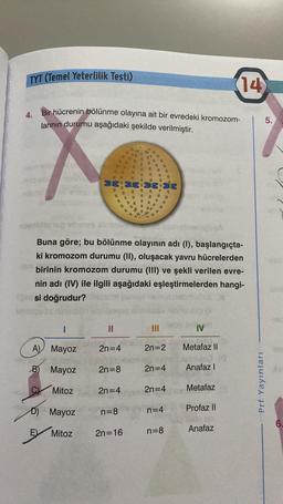 TYT (Temel Yeterlilik Testi)
4.
Bir hücrenin bölünme olayına ait bir evredeki kromozom-
larının durumu aşağıdaki şekilde verilmiştir.
X
I
A) Mayoz
B Mayoz
C) Mitoz
D) Mayoz
Mitoz
IF H
88
11
1111
11
1111 11
||
11
11-11
11
D
2n=4
A
2n=8
n=8
2n=4
12
1
Jolifened hobrellasbigosA
Buna göre; bu bölünme olayının adı (1), başlangıçta-
ki kromozom durumu (II), oluşacak yavru hücrelerden
birinin kromozom durumu (III) ve şekli verilen evre-
nin adı (IV) ile ilgili aşağıdaki eşleştirmelerden hangi-
si doğrudur?
smelou s
2n=16
BB
W
17
11
11
H
2n=2
2n=4
2n=4
n=4
Hojni uelig
n=8
IV
And.10
Metafaz II
bulbo (0
Anafaz I
Metafaz
14
Profaz II
Anafaz
5.
Prf Yayınları
GE
15
6.