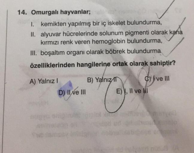 14. Omurgalı hayvanlar;
I. kemikten yapılmış bir iç iskelet bulundurma,
II.
alyuvar hücrelerinde solunum pigmenti olarak kana
kırmızı renk veren hemoglobin bulundurma,
III. boşaltım organı olarak böbrek bulundurma
özelliklerinden hangilerine ortak olarak s