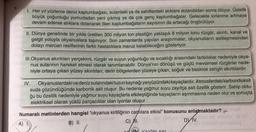 1. Her yıl yüzlerce deniz kaplumbağası, sulardaki ya da sahillerdeki atıklara dolandıktan sonra ölüyor. Üstelik
büyük çoğunluğu yumurtadan yeni çıkmış ya da çok genç kaplumbağalar. Gelecekte kirlenme artmaya
devam ederse atıklara dolanarak ölen kaplumbağaların sayısının da artacağı öngörülüyor.
II. Dünya genelinde bir yılda üretilen 300 milyon ton plastiğin yaklaşık 8 milyon tonu rüzgâr, akıntı, kanal ve
gelgit yoluyla okyanuslara taşınıyor. Son zamanlarda yapılan araştırmalar, okyanusların asitleşmesinden
dolayı mercan resiflerinin farklı hastalıklara maruz kalabileceğini gösteriyor.
III.Okyanus akıntıları yerçekimi, rüzgâr ve suyun yoğunluğu ve sıcaklığı arasındaki farklılıklar nedeniyle okya-
nus sularının hareket etmesi olarak tanımlanabilir. Dünya'nın dönüşü ve güçlü mevsimsel rüzgârlar nede-
niyle ortaya çıkan yüzey akıntıları; derin bölgelerden yüzeye çıkan, soğuk ve besince zengin akıntılardır.
IV.
Okyanuslardaki ve deniz sularındaki tuzun kaynağı yeryüzündeki kayaçlardır. Atmosferdeki karbondioksit
suda çözündüğünde karbonik asit oluşur. Bu nedenle yağmur suyu zayıfça asit özellik gösterir. Sahip oldu-
ğu bu özellik nedeniyle yağmur suyu kayaçlarla etkileştiğinde kayaçların aşınmasına neden olur ve sonuçta
elektriksel olarak yüklü parçacıklar olan iyonlar oluşur.
Numaralı metinlerden hangisi "okyanus kirliliğinin canlılara etkisi” konusunu anlatmaktadır? +
A) I
B) II.
C) MI.
15
DIV.