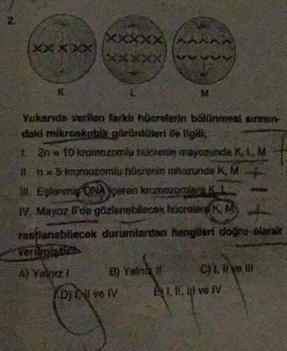 xxxxxX
K
XXXXX
Yukanda verilen farkir hücrelerin bölünmesi sırasın-
daki mikroskobik görüntüleri ile ilgili;
1. 2n = 10 kromozomlu hücrenin mayozunda K, L, M
In 5 kromozomlu hücrenin mitozunda K, M
I Eşlenmiş ONAçeren kromozomlara K
IV. Mayoz Il'de gözlene