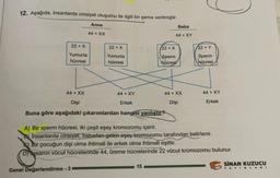 12. Aşağıda, insanlarda cinsiyet oluşumu ile ilgili bir şema verilmiştir.
22 + X
Yumurta
hücresi
44 + XX
Dişi
Anne
44 + XX
22 + X
Yumurta
hücresi
Genel Değerlendirme - 3
44 + XY
Erkek
Buna göre aşağıdaki çıkarımlardan hangisi yanlıştır?
Baba
44 + XY
22 + X
Sperm
hücresi
15
44 + XX
Dişi
22+ Y
Sperm
hücresi
A) Bir sperm hücresi, iki çeşit eşey kromozomu içerir.
Insanlarda cinsiyet, babadan gelen eşey kromozomu tarafından belirlenir.
Bir çocuğun dişi olma ihtimali ile erkek olma ihtimali eşittir.
Dosanın vücut hücrelerinde 44, üreme hücrelerinde 22 vücut kromozomu bulunur.
44 + XY
Erkek
SINAN KUZUCU