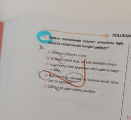 SOLUNUM
7. Sadece memelilerde bulunan alveollerle ilgili,
aşağıda verilenlerden hangisi yanlıştır?
A) Solunum yüzeyini arttırır.
B) İç yüzeyi nemli olup, tek katlı epitelden oluşur.
C) İç yüzeyini örten lipoprotein solunumla su kaybı-
ni önler.
D) Bulundurduğu kıkırdak ve kaslarla esnek olma-
yan bir yapıdadır.
E) Çevresi Kılcaldamarlarla çevrilidir.
11