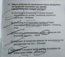 17. Mayoz bölünme ile tamamlanan hücre döngüsüne
ait aşağıdaki kavramlar için yapılan
eşleştirmelerden hangisi yanlıştır?
A) Homolog kromozomların kardeş olmayan
kromatitlerinin profaz I evresinde birbirlerine
sarılması - Sinapsis
B) Homolog kromozomların kardeş olmayan
kromatitleri arasındaki parça değişimi - Krossing
over
Homolog kromozomların profaz I evresinde dört
kromatitli durumu - Tetrat
D) interfazın S evresinde eşlenen bir kromozomun iki
parçasından her biri - Kromatit
E) Anafaz l evresine kadar kardeş kromatitleri bir
arada tutan bölge - Kinetokor