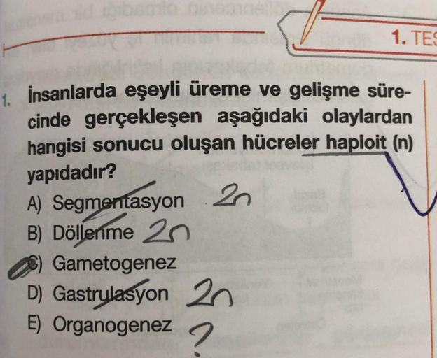 1. İnsanlarda eşeyli üreme ve gelişme süre-
cinde gerçekleşen aşağıdaki olaylardan
hangisi sonucu oluşan hücreler haploit (n)
yapıdadır?
A) Segmentasyon 2n
B) Döllenme 20
1. TES
Gametogenez
D) Gastrulasyon 20
E) Organogenez
2