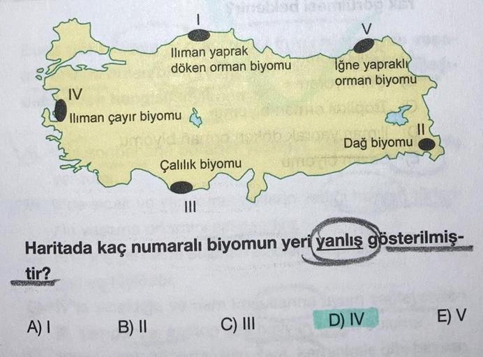 A) I
Iliman yaprak
döken orman biyomu
IV
Iliman çayır biyomu
B) II
Çalılık biyomu
|||
V
Haritada kaç numaralı biyomun yeri yanlış gösterilmiş-
tir?
RUDENTE
C) III
Tğne yapraklı
orman biyomu
33
Dağ biyomu
D) IV
E) V