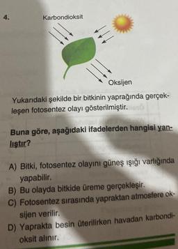 4.
Karbondioksit
Oksijen
Yukarıdaki şekilde bir bitkinin yaprağında gerçek-
leşen fotosentez olayı gösterilmiştir. Hest
Buna göre, aşağıdaki ifadelerden hangisi yan-
liştir?
A) Bitki, fotosentez olayını güneş ışığı varlığında
yapabilir.
B) Bu olayda bitkide üreme gerçekleşir.
C) Fotosentez sırasında yapraktan atmosfere ok-
sijen verilir.
D) Yaprakta besin üterilirken havadan karbondi-
oksit alınır.