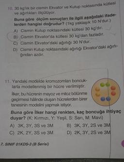 10. 30 kg'lık bir cismin Ekvator ve Kutup noktasında kütlesi
ve ağırlıkları ölçülüyor.
Buna göre ölçüm sonuçları ile ilgili aşağıdaki ifade-
lerden hangisi doğrudur? (1kg yaklaşık 10 N'dur.)
A) Cismin Kutup noktasındaki kütlesi 30 kg'dır.
B) Cismin Ekvator'da kütlesi 30 kg'dan fazladır.
C) Cismin Ekvator'daki ağırlığı 30 N'dur.
D) Cismin Kutup noktasındaki ağırlığı Ekvator'daki ağırlı-
ğından azdır.
11. Yandaki modelde kromozomları boncuk-
larla modellenmiş bir hücre verilmiştir.
İlker, bu hücrenin mayoz ve mitoz bölünme
geçirmesi hâlinde oluşan hücrelerden birer
tanesinin modelini yapmak istiyor.
Buna göre İlker hangi renkten, kaç boncuğa ihtiyaç
duyar? (K: Kırmızı, Y: Yeşil, S: Sarı, M: Mavi)
A) 3K, 3Y, 3S ve 3M
C) 2K, 2Y, 3S ve 3M
7. SINIF 01KDS-3 (B Serisi)
B) 3K, 3Y, 2S ve 3M
D) 2K, 3Y, 2S ve 3M