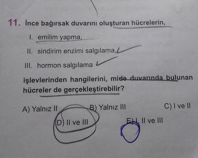 11. İnce bağırsak duvarını oluşturan hücrelerin, I…. Biyoloji 11. İnce bağırsak duvarını oluşturan hücrelerin, I…. Biyoloji