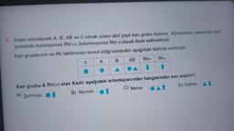 3. İnsan vücudunda A, B, AB ve 0 olmak üzere dört çeşit kan grubu bulunur. Alyuvarların yapısında özel
proteinler bulunuyorsa Rh(+), bulunmuyorsa Rh(-) olarak ifade edilmektedir.
Kan gruplarının ve Rh faktörünün temsil ettiği semboller aşağıdaki tabloda verilmiştir.
Rh- Rh+
0
A
B
t
A
AB
Kan grubu A Rh(+) olan Kadir aşağıdaki arkadaşlarından hangisinden kan alabilir?
D) Halime
C) Merve O
B) Nermin
A) Şehmus: