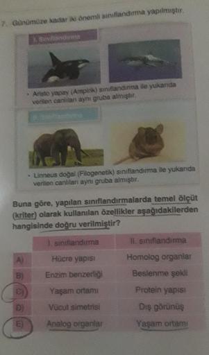 7. Günümüze kadar iki önemli sınıflandırma yapılmıştır.
A)
B)
Aristo yapay (Ampirik) siniflandırma ile yukarıda
verilen canlilan aynı gruba almıştır.
D)
E)
Santandere
Buna göre, yapılan sınıflandırmalarda temel ölçüt
(kriter) olarak kullanılan özellikler a