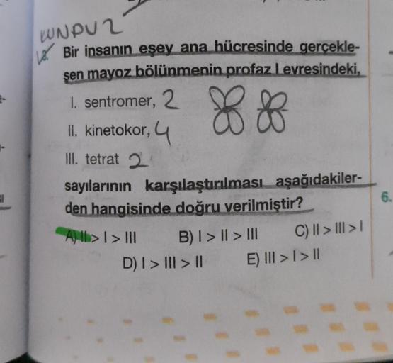 KUNDU 2
Bir insanın esey ana hücresinde gerçekle-
sen mayoz bölünmenin profaz Levresindeki,
88
I. sentromer, 2
II. kinetokor, 4
III. tetrat 2
sayılarının karşılaştırılması aşağıdakiler-
den hangisinde doğru verilmiştir?
A> | > |
B) I > | > |||
D) | > ||| >