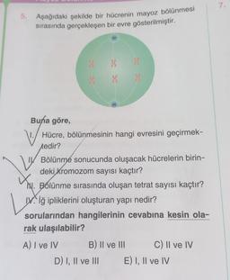 5.
Aşağıdaki şekilde bir hücrenin mayoz bölünmesi
sırasında gerçekleşen bir evre gösterilmiştir.
X
Buna göre,
V Hücre, bölünmesinin hangi evresini geçirmek-
tedir?
Bölünmé sonucunda oluşacak hücrelerin birin-
deki kromozom sayısı kaçtır?
XN.
Bolünme sırasında oluşan tetrat sayısı kaçtır?
Viğ ipliklerini oluşturan yapı nedir?
sorularından hangilerinin cevabına kesin ola-
rak ulaşılabilir?
A) I ve IV
B) II ve III
D) I, II ve III
C) II ve IV
E) I, II ve IV
7.