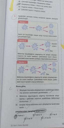 c
8.
B) Çekirdek büyüklüğü / Sitoplazma miktarı
Hücre zar yüzey alanı
Sitoplazma miktarı / Hücre zar yüzey alanı
D) Organel miktarı / Hücre hacmi
E) Çekirdek hacmi / Organel miktarı
Aşağıdaki şemada özdeş amiplerle yapılan deneyler
gösterilmiştir.
Deney 1
→
Belirli bir büyüklüğe ulaşan amip normal bölünmesini
gerçekleştirmiştir.
Deney 2
→
**
Bölünme büyüklüğüne ulaşmamış bir amipin sitoplaz-
masının bir kısmı kesiliyor. Çekirdeksiz kısım ölüyor.
Çekirdekli kısım kendini yeniliyor, fakat bölünme olmuyor.
Deney 3
Kendini
onarır.
Ölür.
Ölür.
Bölünme büyüklüğüne ulaşmış bir amipin sitoplazması-
nın bir kısmı kesiliyor. Çekirdeksiz kısım ölüyor. Çekir-
dekli kısım kendini onarıp bölünüyor.
Buna göre,
1. Büyüyen hücrede sitoplazmanın azaltılması bölün-
me emrinin verilmesini geciktirebilir.
II. Bölünme olgunluğuna ulaşmış hücrelerde sitop-
lazma / çekirdek oranının azaltılması bölünmeyi
durdurmaz. X
yargılarından hangileri doğrudur?
Yalnız I
BY Yalnız II
III. Amipte hücre bölünme emri sitoplazma tarafından
verilir.
DII ve III
of
10. Sınıf / Extra Biyoloji
0₁
e) I ve II
E) I, II ve III
1
1
1
1
1
1
1
I
1
1
1
1
1
1
1
13