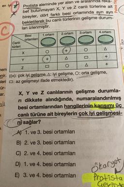 en iyi
cür-
ar.
Protista aleminde yer alan ve aralarında reka-
bet bulunmayan X, Y ve Z canlı türlerine ait
bireyler, dört farklı besi ortamında ayrı ayrı
bekletilerek bu canlı türlerinin gelişme durum-
ları izlenmiştir.
hall
Canlı
türleri
Besi
ortamları
X
Y
1.ortam
+
2.ortam 3.ortam
+
A
4.ortam
A
+
O
A
Z
nem
enir. ((+): çok iyi gelisme, A: iyi gelişme, O: orta gelişme,
leri: az gelişmeyi ifade etmektedir).
+
Palme Yay
D
X, Y ve Z canlılarının gelişme durumla-
ri dikkate alındığında, numaralandırılmış
besi ortamlarından hangilerinin karısımı üç
canlı türüne ait bireylerin çok iyi gelişmesi-
ni sağlar?
A) 1. ve 3. besi ortamları
B) 2. ve 3. besi ortamları
C) 2. ve 4. besi ortamları
D) 1. ve 4. besi ortamları
E) 3. ve 4. besi ortamları
Ökaryot
L
Protista
Gevirda
