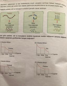 Besinlerin, çiğnenmesi ve kas hareketleriyle küçük parçalara ayrılması fiziksel (mekanik) sindirimdir.
Besinlerin, enzim adı verilen bazı salgılar yardımıyla parçalanmasına ise kimyasal sindirim denir.
Aşağıda patates, süt ve tereyağının sindirimi şematik olarak verilmiştir.
Patates
Ağız
Ince bağırsak
(enzimler)
Patates
Ağız Mide İnce
bağırsak
una göre patates, süt ve tereyağının sindirim kanalında madde miktarının zamanla değişimini
5steren aşağıdaki grafiklerden hangisi doğrudur?
-) + Madde Miktarı
Madde Miktarı
Tereyağ
Ağız Mide İnce
bağırsak
Organlar
Süt
→Organlar
Mide
İnce bağırsak
(enzimler)
B) Madde Miktarı
Süt
Ağız Mide İnce
bağırsak
D) Madde Miktarı
Patates
Ağız Mide İnce
Tereyağı
111
bağırsak
İnce bağırsak
(enzimler)
Organlar
Organlar