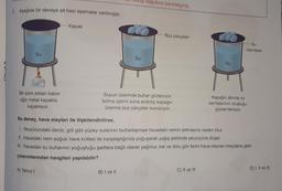 1. Aşağıda bir deneye ait bazı aşamalar verilmiştir.
Su
Bir süre isitilan kabin
ağzı metal kapakla
kapatılıyor.
A) Yalnız I
Kapak
I, Leup kağıdına işaretleyiniz.
Su
B) I ve II
Buz parçaları
Suyun üzerinde buhar gözleniyor.
Isıtma işlemi sona erdirilip kapağın
üzerine buz parçaları konuluyor.
Su
Bu deney, hava olayları ile ilişkilendirilirse,
1. Yeryüzündeki deniz, göl gibi yüzey sularının buharlaşması havadaki nemin artmasına neden olur.
II. Havadaki nem soğuk hava kütlesi ile karşılaştığında yoğuşarak yağış şeklinde yeryüzüne düşer.
III. Havadaki su buharının yoğuştuğu şartlara bağlı olarak yağmur, kar ve dolu gibi farklı hava olayları meydana gelir.
çıkarımlarından hangileri yapılabilir?
C) II ve III
Su
damlaları
Kapağın altında su
damlalarının oluştuğu
gözlemleniyor.
D) I, II ve III