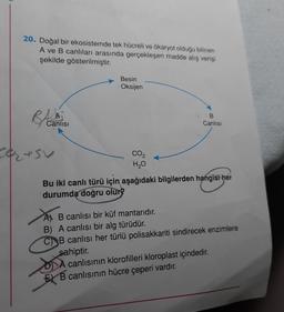 20. Doğal bir ekosistemde tek hücreli ve ökaryot olduğu bilinen
A ve B canlıları arasında gerçekleşen madde alış verişi
şekilde gösterilmiştir.
Canlısı
Ceresv
Besin
Oksijen
CO₂
H₂O
B
Canlısı
Bu iki canlı türü için aşağıdaki bilgilerden hangisi her
durumda doğru olur?
A B canlısı bir küf mantarıdır.
B) A canlısı bir alg türüdür.
CB canlısı her türlü polisakkariti sindirecek enzimlere
sahiptir.
A canlısının klorofilleri kloroplast içindedir.
B canlısının hücre çeperi vardır.