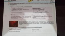 7. Sınıf Deneme Sınavı - 1 A
19. Bulutsu, uzayda bulunan dev gaz ve toz bulutudur. Bulutsular oluşum şekilleri, içerdikleri maddeler gibi özelliklerine
göre sınıflandırılır.
Aşağıda bulutsu çeşitleri ve bunlara ait özellikler verilmiştir.
FEN BİLİMLERİ
Salma (Dağınık) Bulutsular
+ Yapısında en çok hidrojen elementi bulunur.
+Kendi ışıklarına sahiptirler.
+Kırmızı renkli görünürler.
Parlak (Yansıma) Bulutsular
+Yakınlarında bulunan bir yıldızın ışığını yansıtırlar.
+İçlerindeki yeni oluşmuş yıldızlardan dolayı çok
parlak görünürler.
Karanlık Bulutsular-
+Yoğunlukları oldukça yüksektir.
+ İçinden hiç ışık geçemez.
+Tek başlarına uzayda ayırt edilmesi zordur.
Gezegenimsi Bulutsu
+ Orta büyüklükteki yıldızların ömürlerinin sonunda
oluşurlar.
+ Merkezlerinde beyaz cüce bulunur.
1837 yılında keşfedilen Istakoz bulutsusu şimdiye kadar keşfedilen en büyük yıldızlardan
bazılarını oluşturabilir. İç kısımlarındaki kırmızı ışıma iyonlaşan hidrojen gazından kaynak-
lanmaktadır. Hubbe uzay teleskobu tarafından çekilen Istakoz bulutsusunun fotoğrafı yanda-
ki gibidir.
Buna göre fotoğrafı verilen Istakoz bulutsusu hangi bulutsu çeşidine örnektir?
A) Salma (Dağınık) bulutsusu
B) Karanlık bulutsu
C) Parlak (Yansıma) bulutsu
D) Gezegenimsi bulutsu