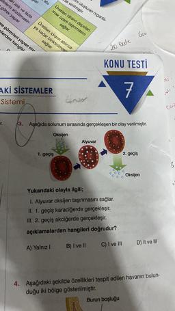 delerin süzülmesin-
ki atık ve fazla
görev yapar.
r.
har.
ere görevleri yapan or
plerden hangisi
d
atıl-
AKİ SİSTEMLER
Sistemi
Üretilen idrarın atılınca-
ya kadar biriktirilmesi
sağlar.
ak verilmiştir.
ni oluşturan organla-
1. geçiş
Üretilen idrarın depolan-
mak üzere taşınmasını
sağlar.
A) Yalnız I
3. Aşağıda solunum sırasında gerçekleşen bir olay verilmiştir.
Oksijen
Alyuvar
20 Ocde
Yukarıdaki olayla ilgili;
I. Alyuvar oksijen taşınmasını sağlar.
II. 1. geçiş karaciğerde gerçekleşir.
III. 2. geçiş akciğerde gerçekleşir.
açıklamalardan hangileri doğrudur?
B) I ve II
KONU TESTİ
7
Cou
C) I ve III
Burun boşluğu
2. geçiş
Oksijen
D) II ve III
4. Aşağıdaki şekilde özellikleri tespit edilen havanın bulun-
duğu iki bölge gösterilmiştir.
a).
(1
Co
3