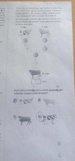 avaya
ve
timin-
rünün
besin
netiği
Kisu-
grup-
azi
az
-
k
-
1
7
1
Türkiye'de gerçekleştirilen sığır klonlama işleminde
elde edilen klon sığırlar bir üniversitede hazırlanan
çiftliğe getiriliyor. Bir firmaya, çiftliğin girişine klonla-
mayı özetleyecek sade bir poster hazırlatılıyor.
Bu firma posteri şekildeki gibi hazırlıyor ancak yavru
yerine kullanacağı görselin hangi sığıra benzyeceği-
ne karar veremiyor.
1. sığır
?
II. sığır
III. sığır
Yavru
Buna göre posterde yavru olarak aşağıdaki gör-
sellerden hangisi kullanılmalıdır?
C