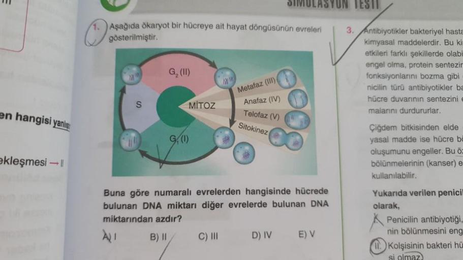 en hangisi yanlış
ekleşmesi →
1. Aşağıda ökaryot bir hücreye ait hayat döngüsünün evreleri
gösterilmiştir.
S
G₂ (II)
MITOZ
G. (1)
XX
C) III
Metafaz (III)
Anafaz (IV)
Telofaz (V)
Sitokinez
SIMULASYON TESTI
Buna göre numaralı evrelerden hangisinde hücrede
bu