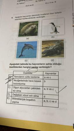 organe
A) Yalnız I
D) II ve III
B) Yaln
(a)
6. Aşağıda hayvanlar aleminde incelenen bazı türlerin
resimleri harflendirilerek verilmiştir.
E) I, II ve III
(c)
(d)
Aşağıdaki tabloda bu hayvanların sahip olduğu
özelliklerden hangisi yanlış verilmiştir?
Özellikler
A Yavrularını sütle besleme
BY Akciğerlerinde hava kesesi b
bulundurma
(b)
D) Değişken vücut ısılı olma
E) Böbrekleriyle boşaltım
yapma
Hayvanlar
a ve c
C) Olgun alyuvarları çekirdek- a, b ve c
siz olma
d
a, b, c ve d
AK YAYINLARI