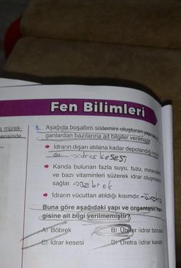a mürek-
erisinde...
Fen Bilimleri
5. Aşağıda boşaltım sistemini oluşturan yaptve.or
ganlardan bazılarına ait bilgiler verilmiştir.
İdrarın dışarı atılana kadar depolandığı kısım
di Sidros kesest
CHORD
Kanda bulunan fazla suyu, tuzu, mineraller
ve bazı vitaminleri süzerek idrar oluşmasını
sağlar. brek
İdrarın vücuttan atıldığı kısımdır.
AURAT
-Diretra
Buna göre aşağıdaki yapı ve organların han
gisine ait bilgi verilmemiştir?
ERIGRATION Spe
PENDARA
A) Böbrek
MORMIGRANATACHE CHINA
Idrar kesesi
B) Ureter (idrar borusu)
CANOTTE
Chi
D) Uretra (idrar kanalı)