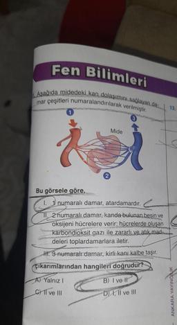 Fen Bilimleri
Aşağıda midedeki kan dolaşımını sağlayan da
mar çeşitleri numaralandırılarak verilmiştir.
ALATES
A) Yalnız I
GIl ve III
Mide
Bu görsele göre,
I. 1 numaralı damar, atardamardır.
PED
HVERNERS
II. 2 numaralı damar, kanda bulunan besin ve
oksijeni hücrelere verir; hücrelerde oluşan
karbondioksit gazı ile zararlı ve atık mad
deleri toplardamarlara iletir.
II. 3 numaralı damar, kirli kanı kalbe taşır.
çıkarımlarından hangileri doğrudur?
R
B) I ve Il
D) I, II ve III
13.
ANKARA YAYINCILIK