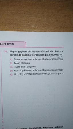 LERİ TESTİ
A
Y
A
37. Mayoz geçiren bir hayvan hücresinde bölünme
sürecinde aşağıdakilerden hangisi görülmez?
A) Eşlenmiş sentrozomların zıt kutuplara çekilmesi
B) Tetrat oluşumu
C) Hücre plağı oluşumu
D) Homolog kromozomların zıt kutuplara çekilmesi
E) Homolog kromozomlar arasında kiyazma oluşumu
Tudokilerin hangisinde, meydana getirilen