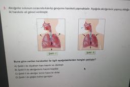 3. Akciğerler solunum sırasında kasılıp gevşeme hareketi yapmaktadır. Aşağıda akciğerlerin yapmış olduğu
iki harekete ait görsel verilmiştir.
Şekil - I
Şekil - 11
Buna göre verilen hareketler ile ilgili aşağıdakilerden hangisi yanlıştır?
A) Şekil-l de diyafram kası kasılır ve düzleşir.
B) Şekil-II de akciğerlerin hacmi küçülür.
C) Şekil-Il de akciğer temiz hava ile dolar.
D) Şekil-l de göğüs kafesi genişler.