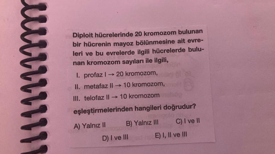 [////////
Diploit hücrelerinde 20 kromozom bulunan
bir hücrenin mayoz bölünmesine ait evre-
leri ve bu evrelerde ilgili hücrelerde bulu-
nan kromozom sayıları ile ilgili,
I. profaz I→ 20 kromozom,
->>>>
II. metafaz II →
Il ->>>>
10 kromozom,
III. telofaz I