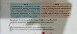 16.
I. METİN
Yakut, elmastan 140 kat daha yumuşak olup değer-
li taşlar arasında en sert ikinci taştır. Sert olmasına
karşılık kolay kırılan bir taştır, işlem esnasında dikkat
edilmesi gerekir. Sıkça rastlanan lekeleri kusur olarak
kabul edilmez. Yakut renginin taş içindeki dağılımı
noktalı ve dalgalıdır. Ham hâlde iken ışık geçirmez.
Kesime uğradıktan sonra elmas kadar parlaktır.
II. METİN
En iyi bilim kurgu filmleri listesi içerisinde yer alan
Arrival, bu türün son dönemlerde çekilen en önemli
temsilcilerindendir. Zamanda yolculuk temasını fil-
min içerisine yediren bu yapımda dil bilimi hakkında
da bilgiler bulunuyor. Zamanın kırılganlığını en iyi
şekilde işleyen yapım, 2016 yılında da büyük övgüler
almıştır.
Bu metinlerin dil ve anlatım yönünden ortak yönü aşağıdakilerden hangisidir?
A Anlatılmak istenilen düşünce, başkalarının görüşlerinden yararlanarak açıklanmıştır.
Anlatılanların anlaşılırlığını arttırmak için örneklerden yararlanılmıştır.
Bir kavramın veya nesnenin ne olduğunu belirgin bir şekilde ortaya konulmuştur.
Varlıkların veya kavramların aynı ya da üstün yönlerine dikkat çekilmek amaçlanmıştır.
